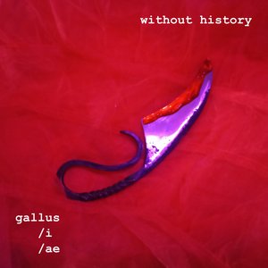 Gallus/i/ae