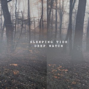 Sleeping Tide