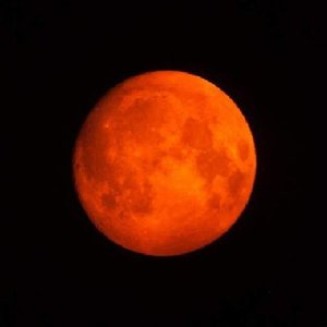 Red Moon Rising