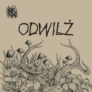 Odwilż