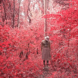 Wholeness - Single
