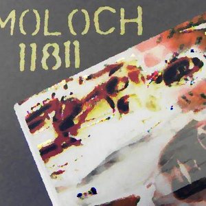 Moloch 11811 的头像