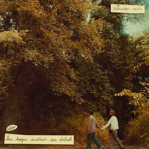 Las Hojas Sueñan Ser Árbol