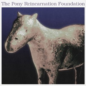 The Pony Reincarnation Foundation