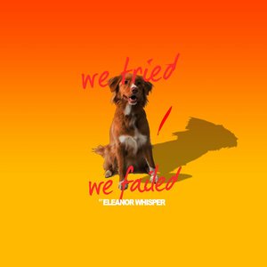 We Tried / We Failed