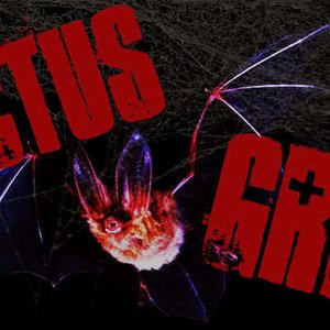 Rictus Grim のアバター