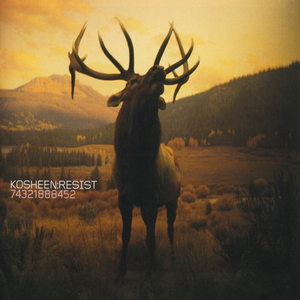 Resist cover