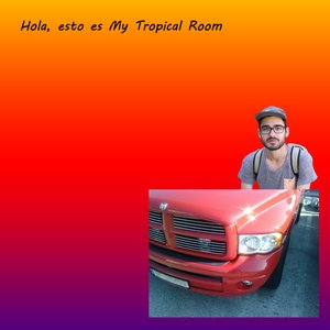 My Tropical Room