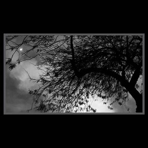 Under the Same Moon - EP