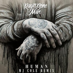 Human (MJ Cole Remix)