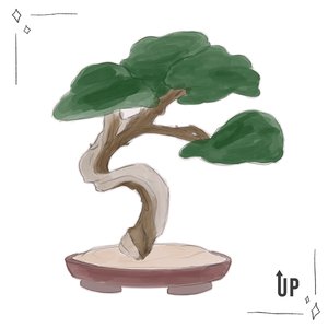 Bonsai