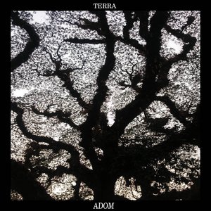 TERRA