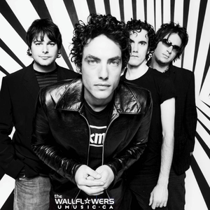 The Wallflowers photo provided by Last.fm