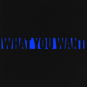 What You Want のアートワーク