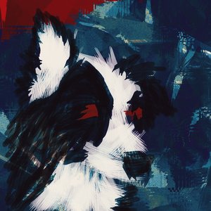 Collie Perfect 的头像
