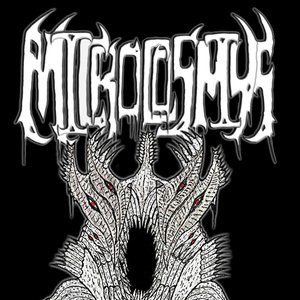 microcosmys 的头像