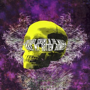 Take My Rotten Bones