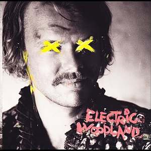 Image for 'Electric Woodland - EP'