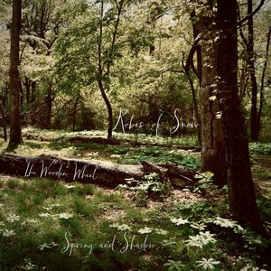 The Wooden Wheel: Spring and Shadow