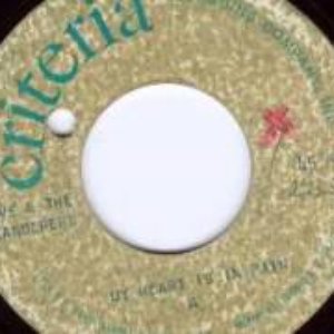 Dave & The Wanderers 的头像