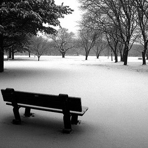 Wintersilence 的头像