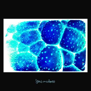 Your Madness - Single