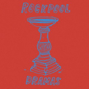 Rockpool Dramas