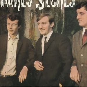 Avatar for les guitares sèches