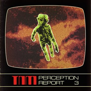 Perception Report 3