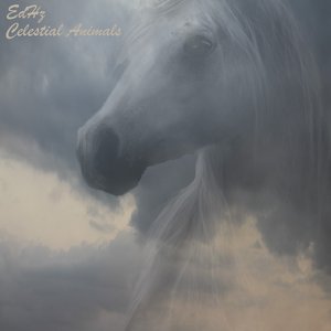 Celestial Animals
