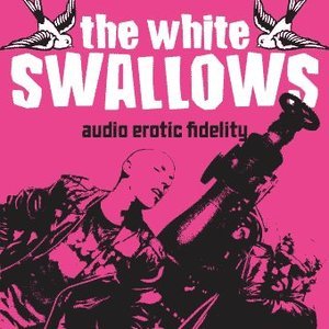 Audio Erotic Fidelity