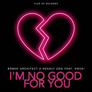 I'm No Good for You (feat. Hosai) - Single
