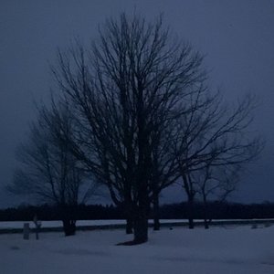 songs for disfigures headphones
