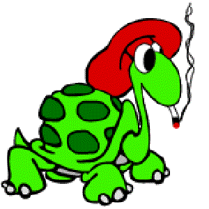 Avatar for Beatnik Turtle