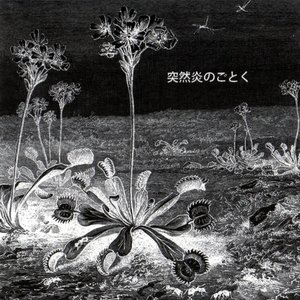 LSD March music, videos, stats, and photos | Last.fm