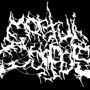 Mortui Corpus 的头像