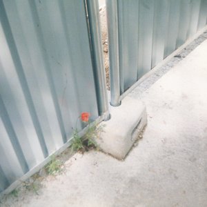Napoleon et Coquelicot 的头像