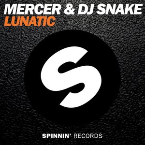 Avatar for Mercer & DJ Snake