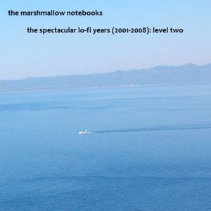 The Spectacular Lo-Fi Years (2001-2008): Level Two