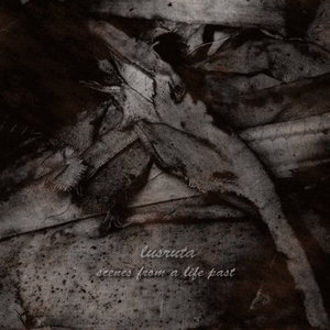 first scene cover