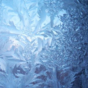 Cold and warm in winter