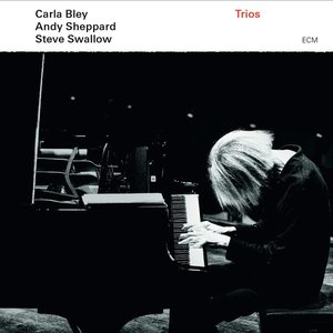 Image for 'Carla Bley, Andy Sheppard & Steve Swallow'