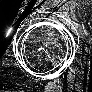 Splot - Single