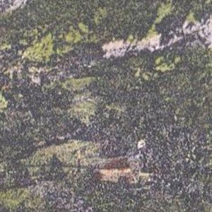 Alla Ricerca di Josef Rassan