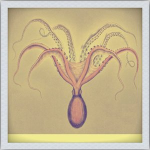 Avatar for Lotuseater
