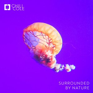 Chill Cole 的头像