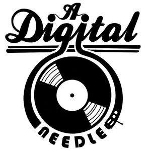 Avatar for A Digital Needle