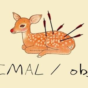 Animal / Object 的头像