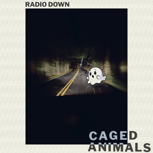 Radio Down
