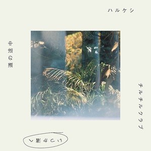 いつか渚へ